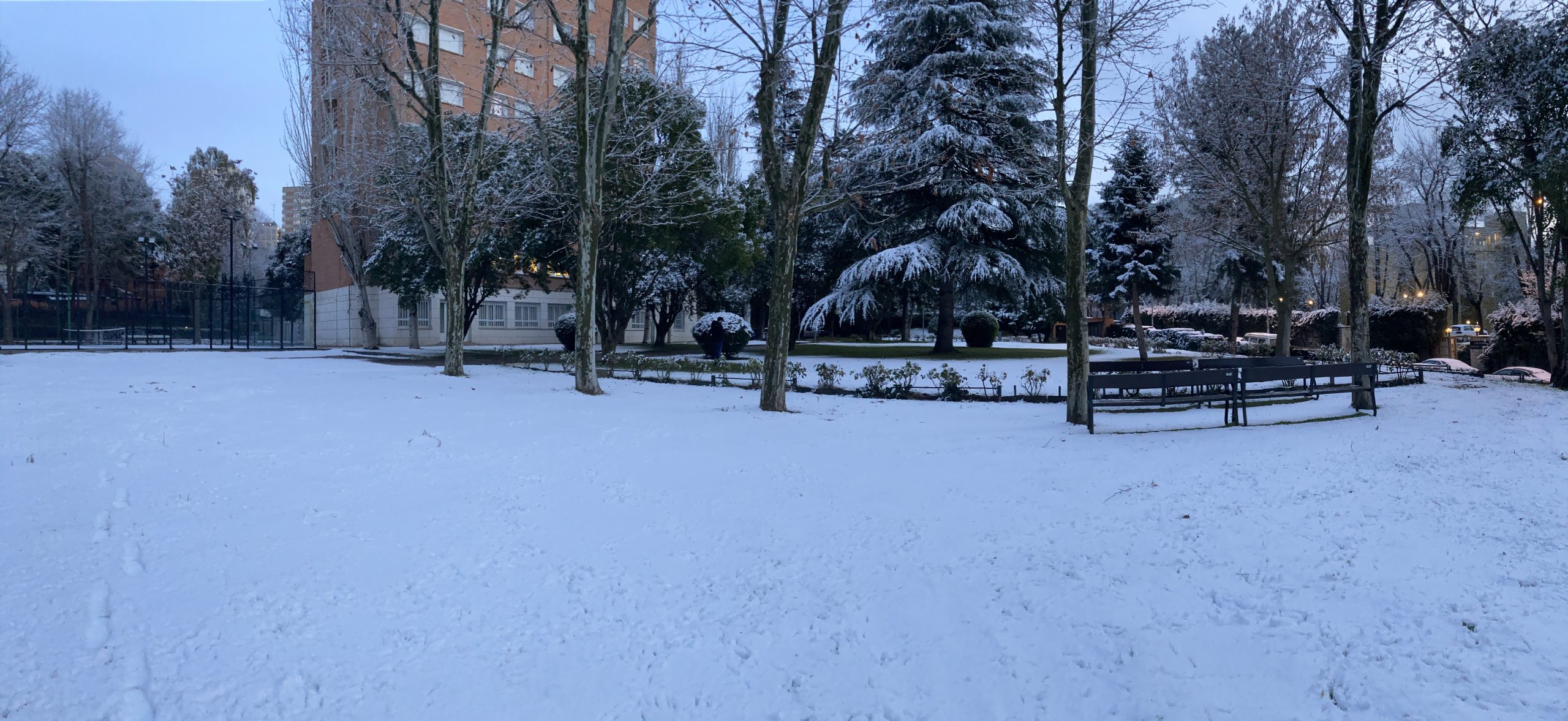 Blanca bienvenida a nuestros colegiales